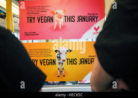 Métro de Londres, London, UK 19 Déc 2016 Londres - Les banlieusards sont traités à un rendement flash par pôle des acrobates de l'Irlande, Terri Walsh et Michael Donohoe, comme Veganuary lancer la toute première campagne de publicité Végétalien sur le métro de Londres. Les annonces sont créées par Veganuary - la charité qui encourage les gens à essayer vegan en janvier. Credit : Dinendra Haria/Alamy Live News Banque D'Images