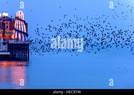 Brighton, UK. Dec 19, 2016. Météo. L'étourneau murmurating autour du palais de Brighton Pier avant de se percher sur la structure pour la nuit. © Andrew Hasson/Alamy Live News Banque D'Images