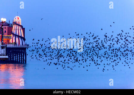 Brighton, UK. Dec 19, 2016. Météo. L'étourneau murmurating autour du palais de Brighton Pier avant de se percher sur la structure pour la nuit. © Andrew Hasson/Alamy Live News Banque D'Images