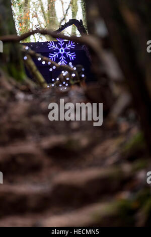 Coleford, Gloucestershire 14h30 le 19 décembre 2016 : Noël Puzzlewood. Les enfants faire des décorations, écrire leurs lettres au Père et lui rendre visite dans la grotte. © David Broadbent/Alamy Live News Banque D'Images