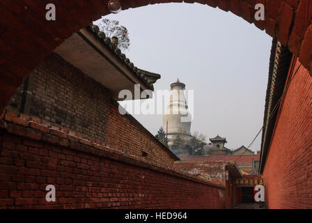 Taihuai : Wutai Shan, l'une des quatre montagnes sacrées du bouddhisme en Chine ; Tayuan ; Temple stupa blanc, Shanxi, Chine Banque D'Images