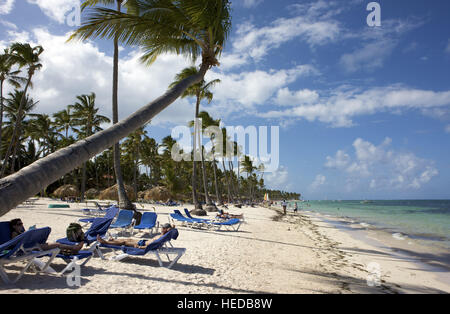 Les touristes à la plage bordée de palmiers, Punta Cana, République dominicaine, Caraïbes Banque D'Images