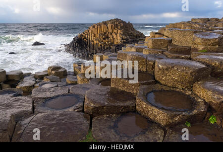 Giant's Causeway est un hot spot touristique dans l'Irlande du Nord. La région est une curiosité géologique, créé par des colonnes de basalte d'enclenchement. Banque D'Images