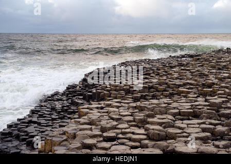 Giant's Causeway est un hot spot touristique dans l'Irlande du Nord. La région est une curiosité géologique, créé par des colonnes de basalte d'enclenchement. Banque D'Images