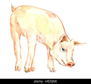 Cute pink piggy article isolé, illustration aquarelle peinte à la main Banque D'Images