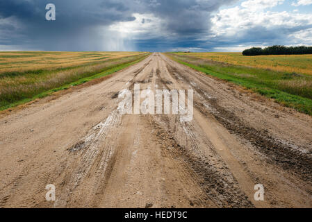 Une route boueuse et ciel d'orage dans les régions rurales de la Saskatchewan, Canada Banque D'Images