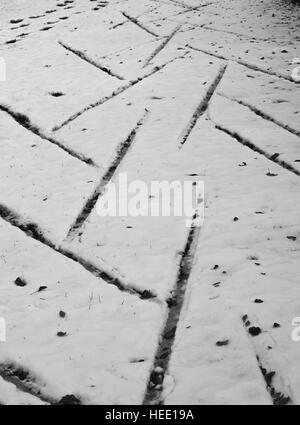 Imprime sur une neige Banque D'Images