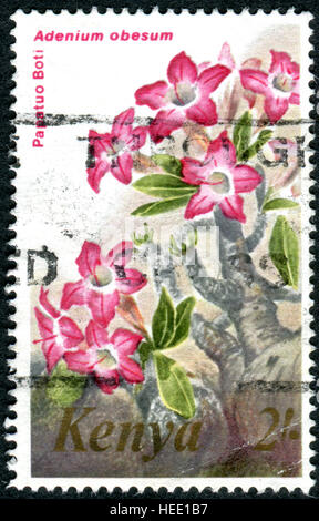 KENYA - circa 1983 : timbre imprimé au Kenya, montre une fleur Adenium obesum, vers 1983 Banque D'Images