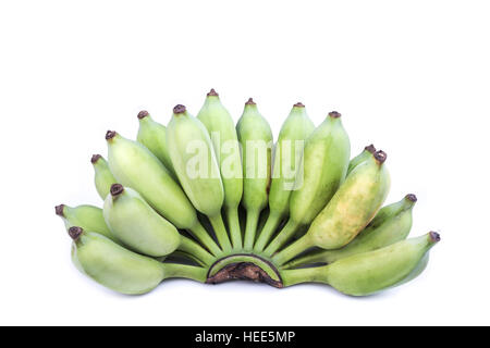 Bananes cultivées Thai Green isolé sur fond blanc Banque D'Images