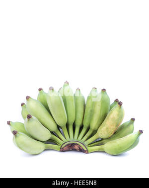 Bananes cultivées Thai Green isolé sur fond blanc Banque D'Images