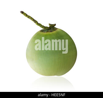 Noix de coco jeunes verts frais isolé sur fond blanc. Enregistré avec clipping path Banque D'Images