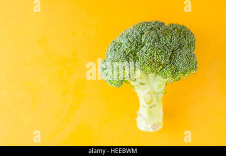 Le brocoli horizontale sur fond jaune Banque D'Images