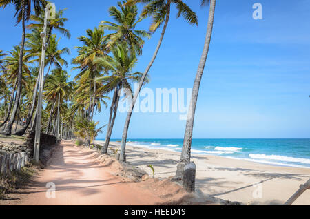 Route de sable entouré de cocotiers près d'une belle plage avec les vagues sur une belle journée ensoleillée avec ciel bleu. Plage Praia do Seixas Banque D'Images