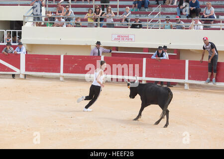 La seule femme rasateur et cowgirl dans la Camargue, Marie Segretier participant à une corrida dans les arènes des Saintes Maries de la Mer Banque D'Images