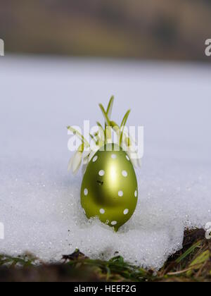 Œuf de pâques meadow snowdrop Banque D'Images