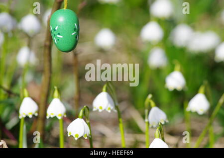 Œuf de pâques meadow snowdrop snowflake Banque D'Images