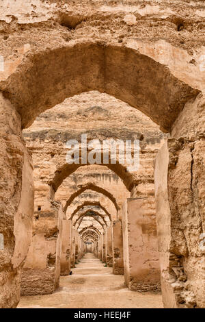 Sultan's écuries (18e siècle), Meknes, Maroc Banque D'Images