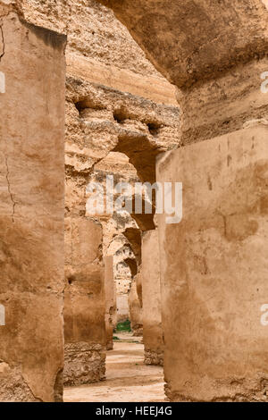 Sultan's écuries (18e siècle), Meknes, Maroc Banque D'Images