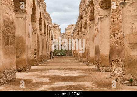 Sultan's écuries (18e siècle), Meknes, Maroc Banque D'Images