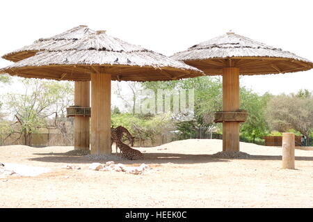 Ain Ain Zoo et De La Faune Oiseaux Reptiles Crocodiles Serpents Tortues Girafe Lion Banque D'Images