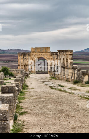 L'Arc de Caracalla, ruines romaines, Volubilis, Maroc Banque D'Images