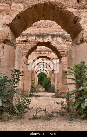 Sultan's écuries (18e siècle), Meknes, Maroc Banque D'Images