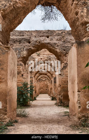 Sultan's écuries (18e siècle), Meknes, Maroc Banque D'Images