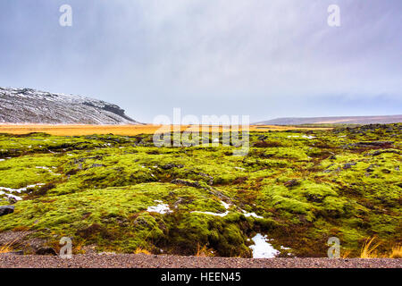 Vues sur les plaines côtières près de Borgarnes, à l'ouest de l'Islande. Cette zone est au nord-est de Reykjavik. Banque D'Images