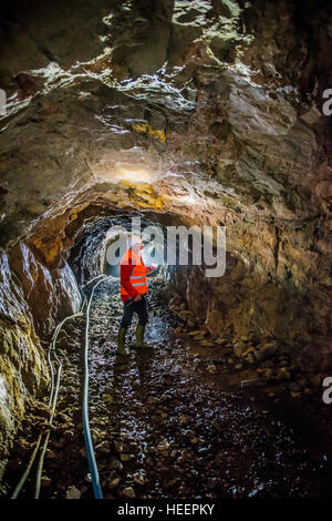 Scotgold directeur Richard Gray, représenté à l'Scotgold Cononish Ressources mine près de Tyndrum, Ecosse Banque D'Images