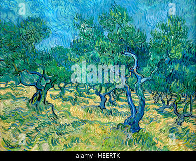 Olive Grove, par Vincent van Gogh, 1889, Kroller-Muller Museum, le Parc national Hoge Veluwe, Otterlo, Pays-Bas, Europe Banque D'Images