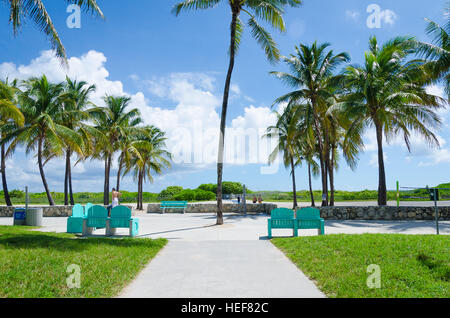 Miami, USA - 5 octobre, 2012 : Avis de Miami Beach avec des palmiers en arrière-plan en Floride, USA Banque D'Images