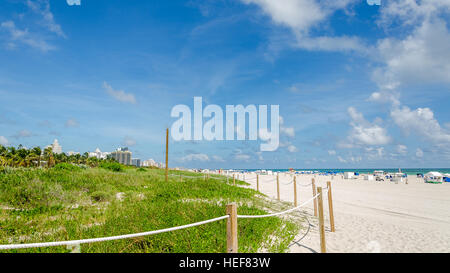 Miami, USA - 5 octobre, 2012 : Avis de Miami Beach avec des palmiers en arrière-plan en Floride, USA Banque D'Images