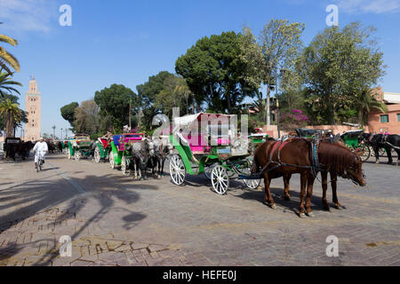 Calèches en attente autour de Koutoubia aux touristes. Marrakech, Maroc. Banque D'Images