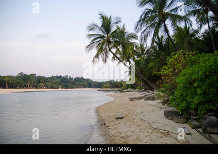 Plage tropicale à Sentosa, Singapour Banque D'Images