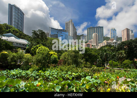 Le Parc de Hong Kong, Hong Kong, Chine. Le Hong Kong Park est un parc public à côté de Cotton Tree Drive à Central, Hong Kong. Il couvre une superficie de 80 000 m² Banque D'Images