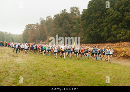 Première course de la saison en cours de remise en forme de Kent en course ligue Knole Park champ massive cross country 561 équipes de coureurs Banque D'Images