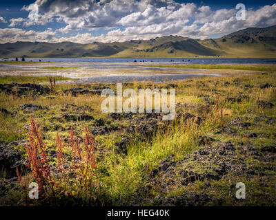 Lac Blanc, Khorgo Terkhiin Tsagaan Nuur National Park, Mongolie Banque D'Images