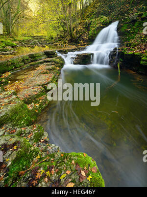 Cascade dans Schlichemklamm, feuilles d'automne sur fritté lime terrasses le long de la rivière Schlichem, Schlichemtal, Epfendorf Banque D'Images