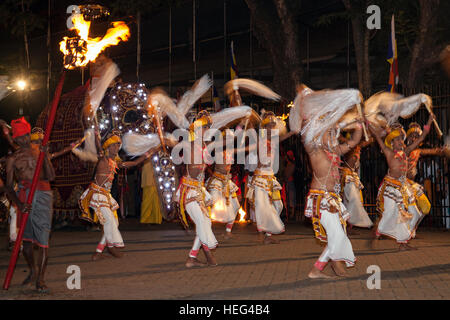 Troupe de danse, danseurs, danseurs de Kandy en costumes traditionnels, Esala Perahera festival bouddhiste, Kandy, Province de Liège Banque D'Images