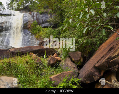 Le Brésil, l'État de Minas Gerais, Heliodora, vue sur la cascade Cachoeira do Pedrao. Banque D'Images