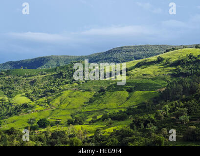 Le Brésil, l'État de Minas Gerais, Heliodora, paysage de montagne. Banque D'Images