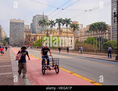 Le Brésil, l'État de Sao Paulo, ville de Sao Paulo, vue sur le centre-ville avec Viaduto do Cha et Theatro Municipal dans l'arrière-plan. Banque D'Images