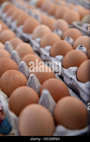 Matières premières fraîches oeufs brun en carton sur l'affichage pour la vente à un marché de producteurs à San Diego, Californie, USA. Banque D'Images