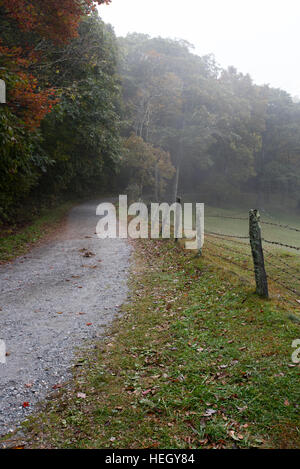 Route de gravier étroite et vieille clôture sur matin d'automne brumeux Banque D'Images
