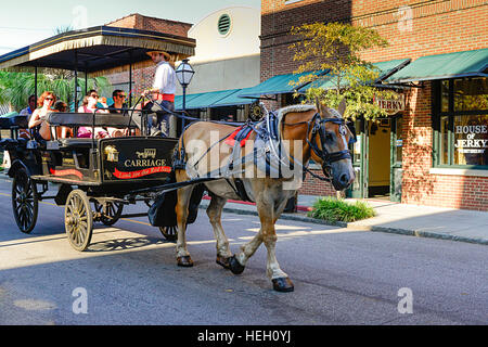 Un beau cheval brun tire un chariot style vintage avec un guide touristique et les touristes autour de centre-ville historique de Charleston SC Banque D'Images