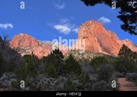 Vue depuis le sentier du ruisseau, Taylor, Kolob Canyons Zion National Park Banque D'Images