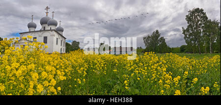 Le paysage du nord de la Russie au seuil de l'automne, vole un troupeau d'oies sur fleur meadow et temple blanc. Banque D'Images