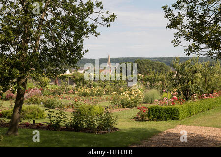 Le jardin de roses à la Possonniere, naissance du poète Ronsard Banque D'Images