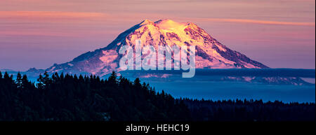 L'éclairage coloré de soleil rose couverte de neige jusqu'Mount. Rainier, État de Washington, USA Banque D'Images