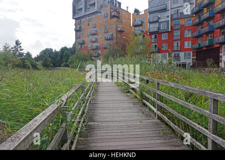 Parc écologique de la péninsule de Greenwich, Londres, Angleterre Banque D'Images